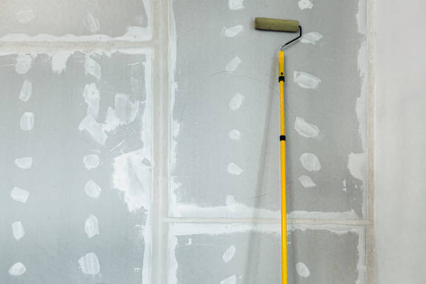 Best Drywall Texturing  in Green Valley, MD